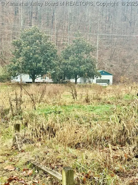 147 Wiseman Lane, Danville, WV 25053 - Image #2