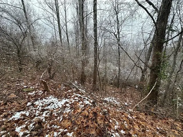 3988 Pinnacle View Road, Hurricane, WV 25526 - Image #1