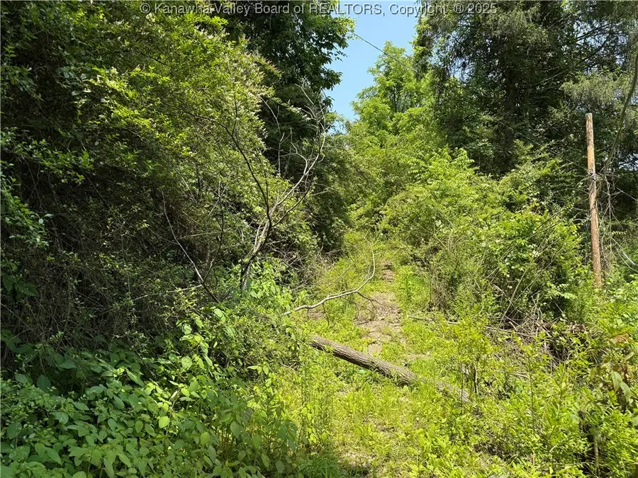 225 Pine Street, Charleston, WV 25311 - Image #3