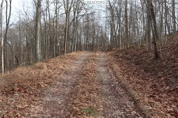 0 Route 12 Road, Alum Creek, WV 25003