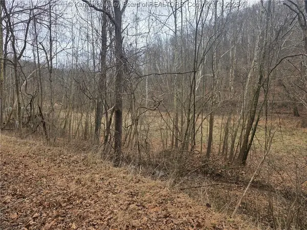 1007 Dry Branch Lane, Apple Grove, WV 25502