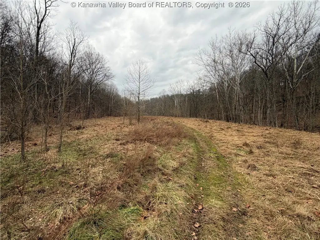 0 Red Brush Run Road, Ravenswood, WV 26164 - Image #1