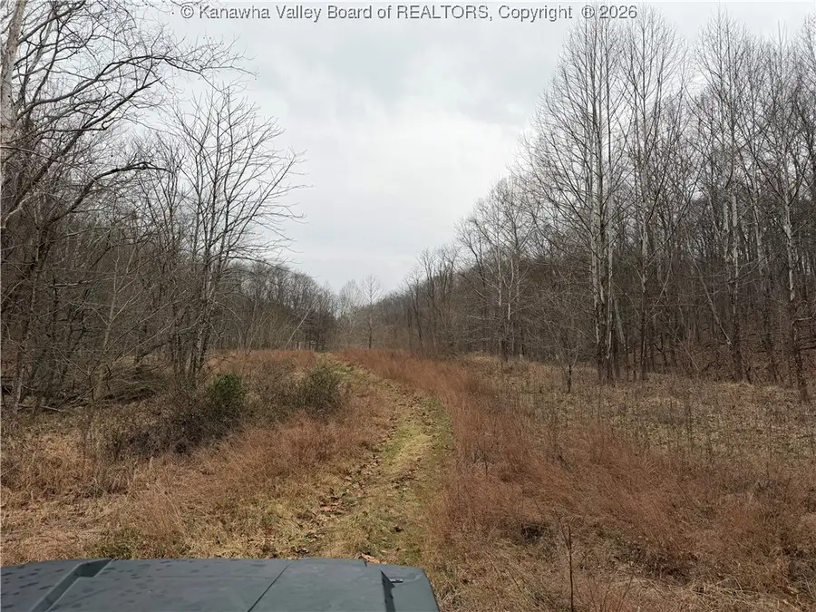 0 Red Brush Run Road, Ravenswood, WV 26164 - Image #2