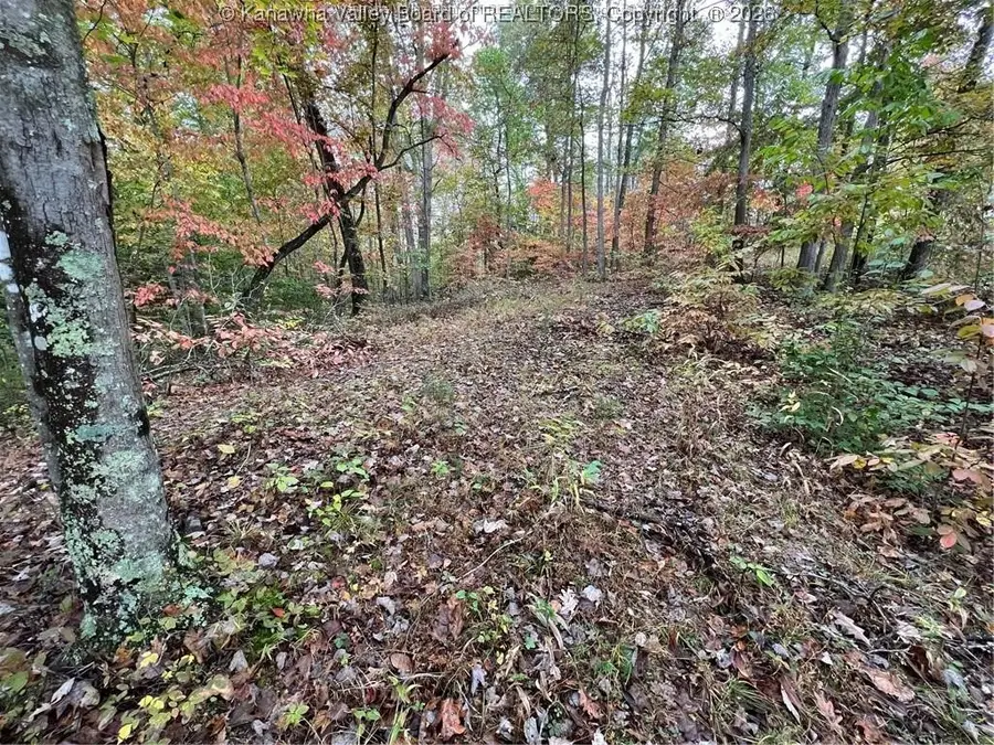 0 Crystal Springs Drive #Big Lot, Winfield, WV 25213 - Image #2