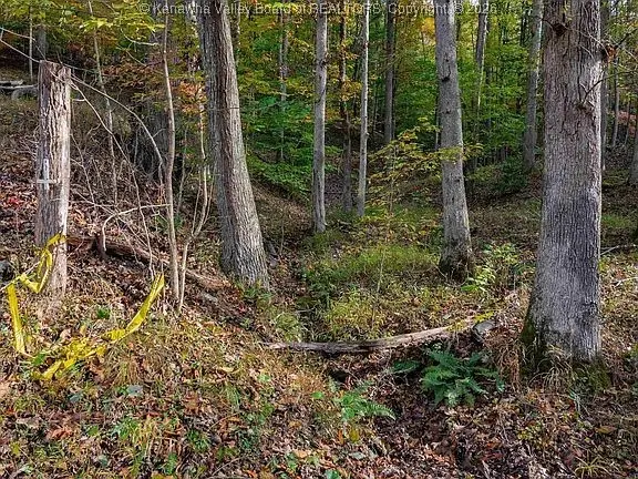 2882 Falling Rock Road, Clendenin, WV 25045 - Image #3