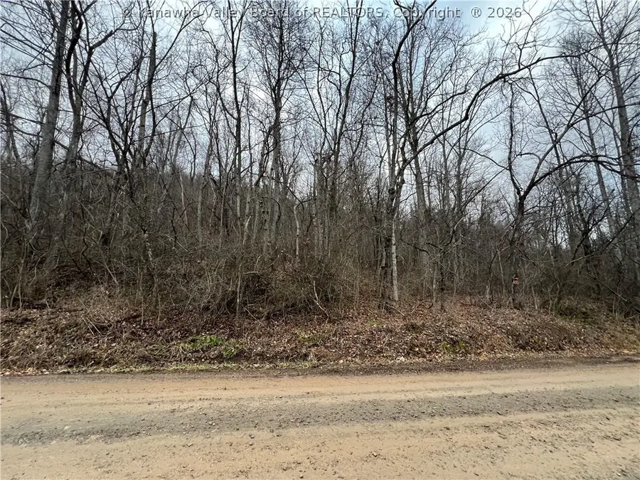 0 Cty Route 7/3 Maysel Laurel Ridge Road, Maysel, WV 25133 - #3