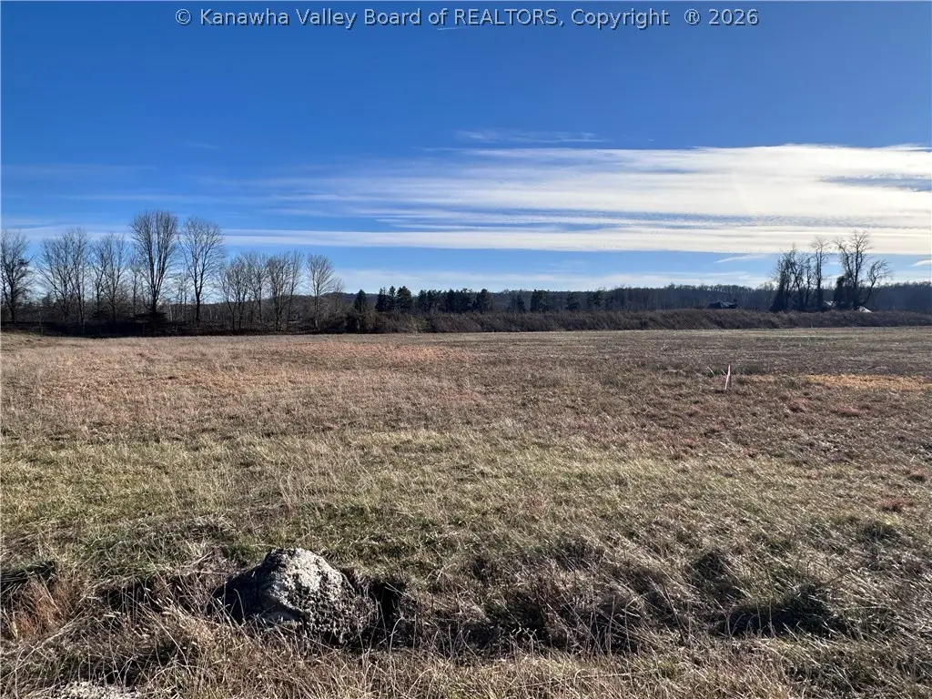 0 Tasty Blend Way, Fraziers Bottom, WV 25082 - #1