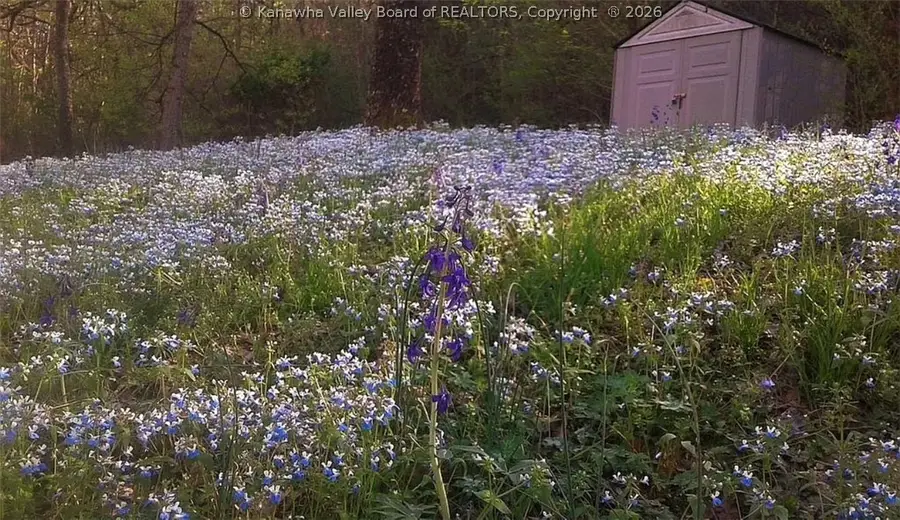 340 Tate Hollow Road, Charleston, WV 25312 - #3