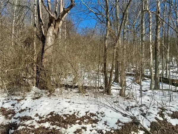 0 Newark Road, Elizabeth, WV 26143