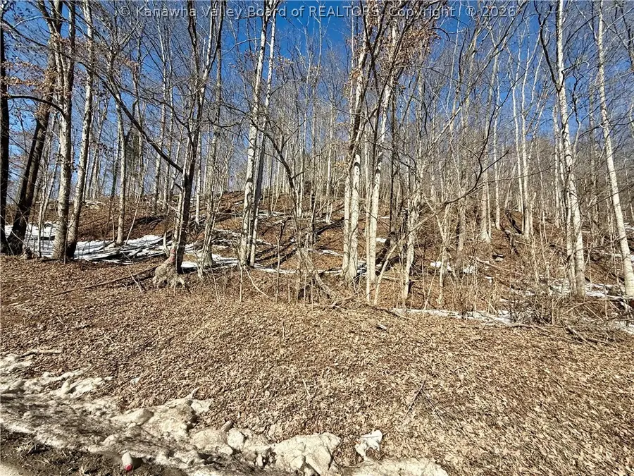 0 Newark Road, Elizabeth, WV 26143 - #3