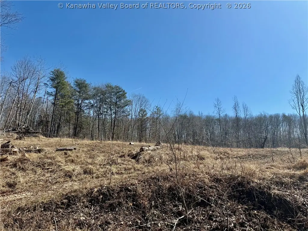 0 Blessing Lane, Ripley, WV 25271 - #1