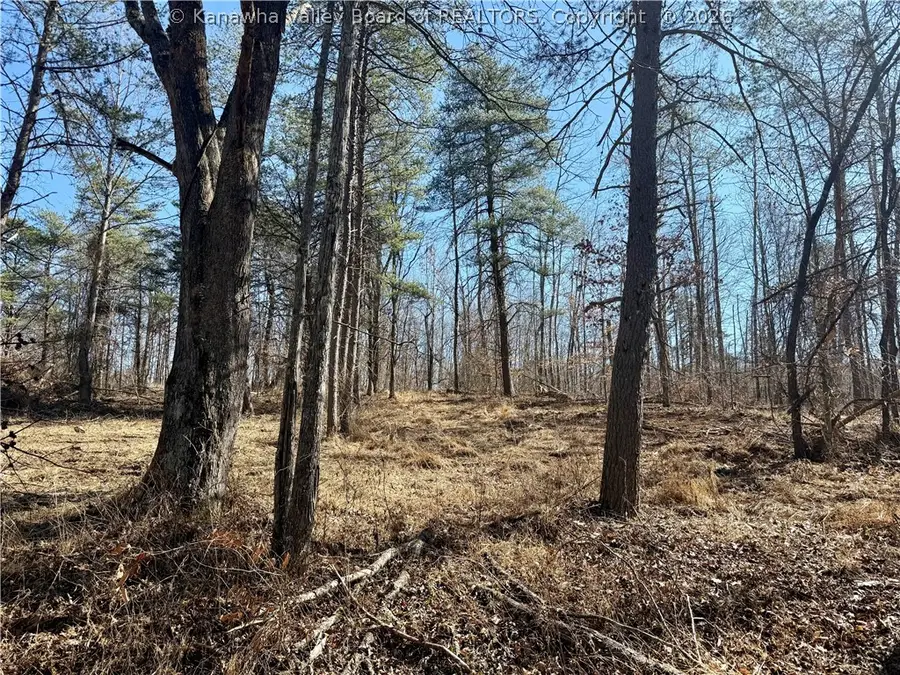 0 Blessing Lane, Ripley, WV 25271 - #3