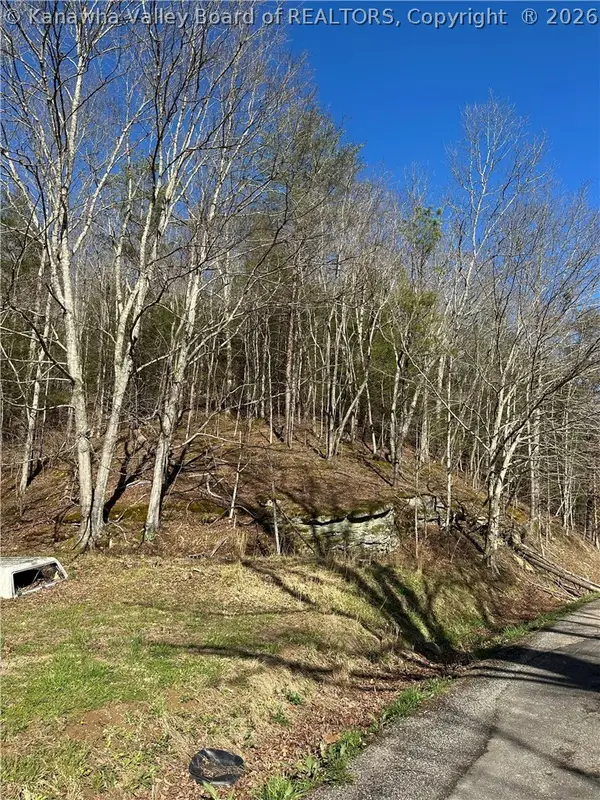 1038 Sycamore Road, Griffithsville, WV 25521