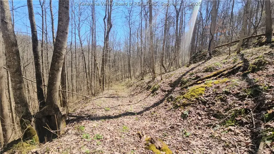 x Bufflick Road, Clendenin, WV 25045 - #2