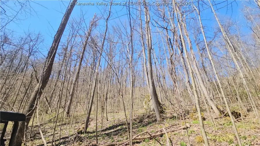 x Bufflick Road, Clendenin, WV 25045 - #3