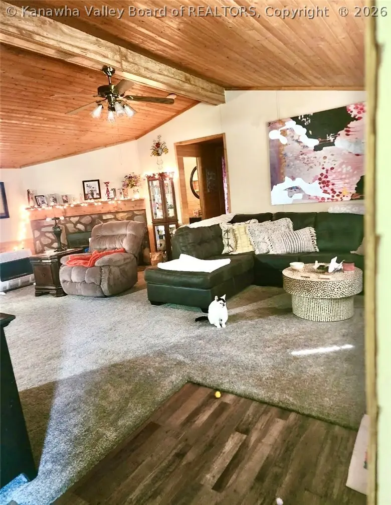 191 Everett Hager Road, Chapmanville, WV 25508 - #2