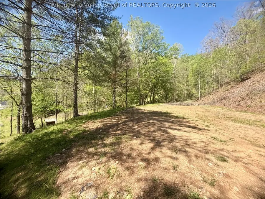 469 Tims Fork Road, Chapmanville, WV 25508 - #2