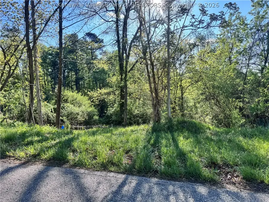 0 Alexes Lane, Ripley, WV 25271 - #2