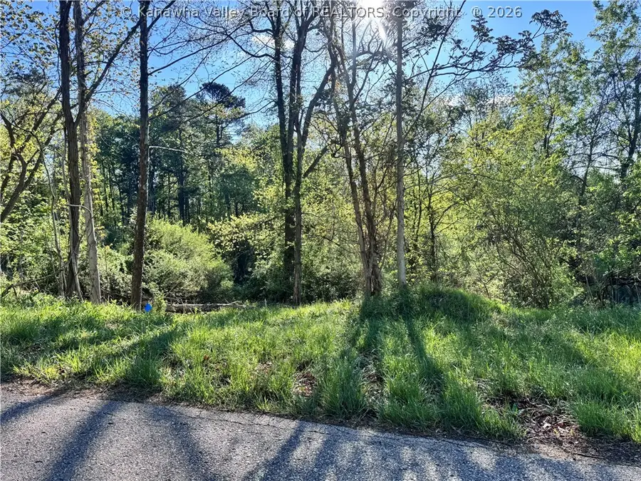 0 Alexes Lane, Ripley, WV 25271 - #3