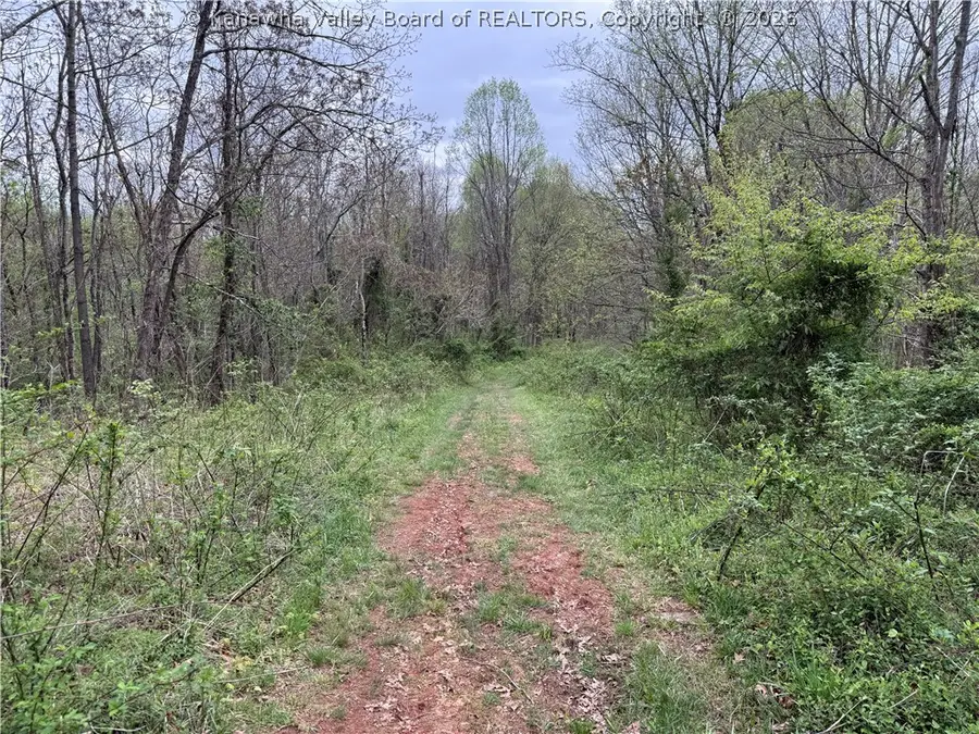 0 Bendview Road, Ravenswood, WV 26164 - #2