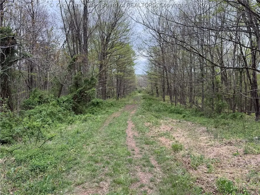 0 Bendview Road, Ravenswood, WV 26164 - #3