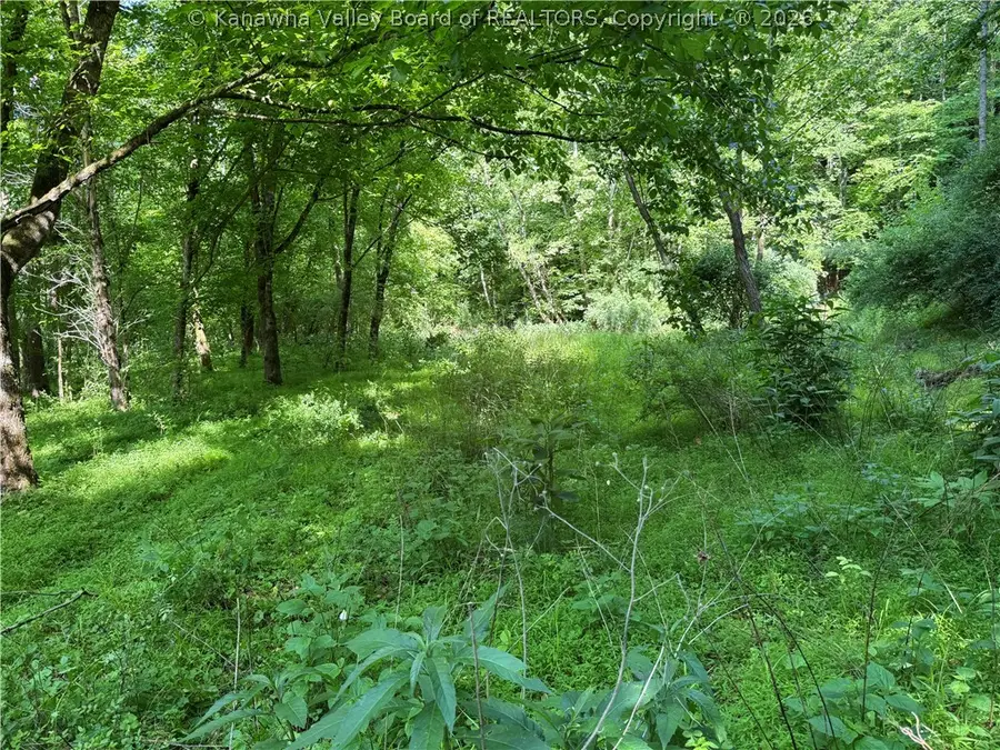 1492 Big Creek Road, Chapmanville, WV 25508 - #3