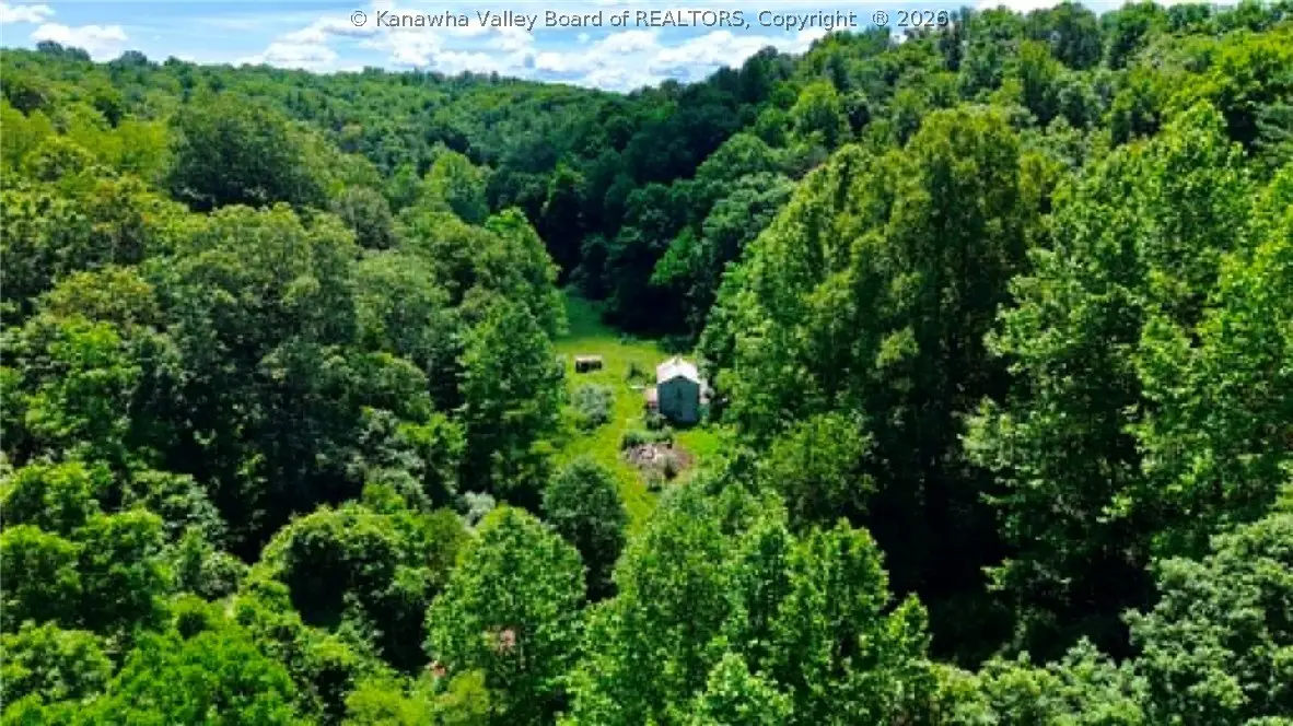 1949 Spring Branch Road, Buffalo, WV 25123 - #1