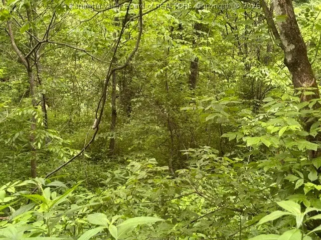 000 Brush Run Road, Gay, WV 25244 - #2