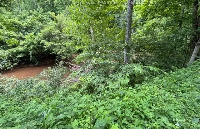000 Brush Run Road, Gay, WV 25244 - #3