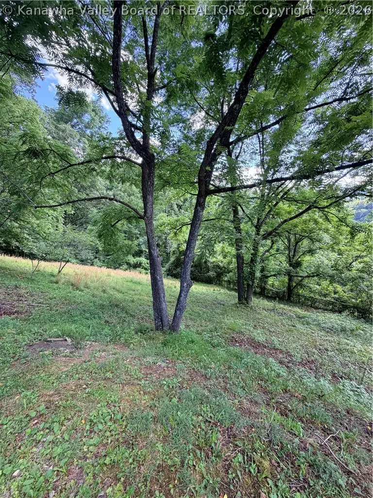 61 Suncatcher Trail, Henlawson, WV 25624 - #3