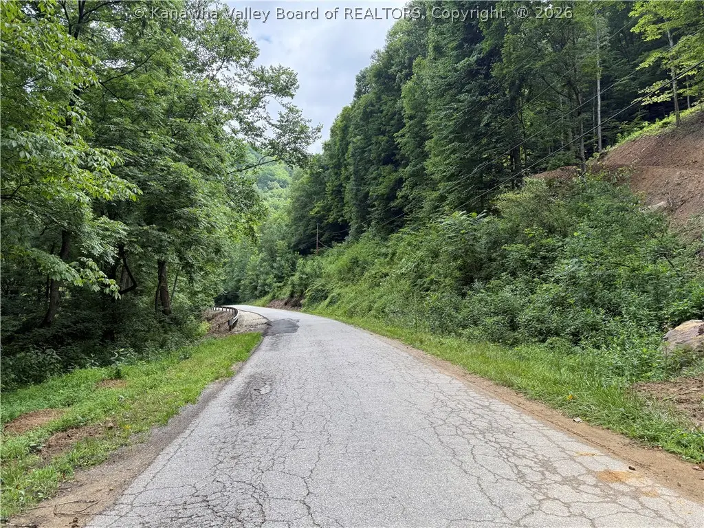 325 Big Ugly Road E, Harts, WV 25524 - #1