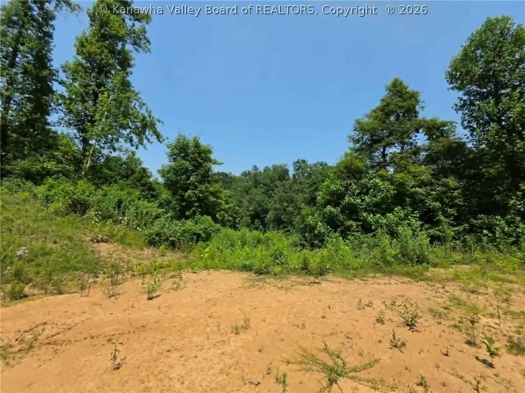 4178 Blue Sulphur Road, Ona, WV 25545 - #1