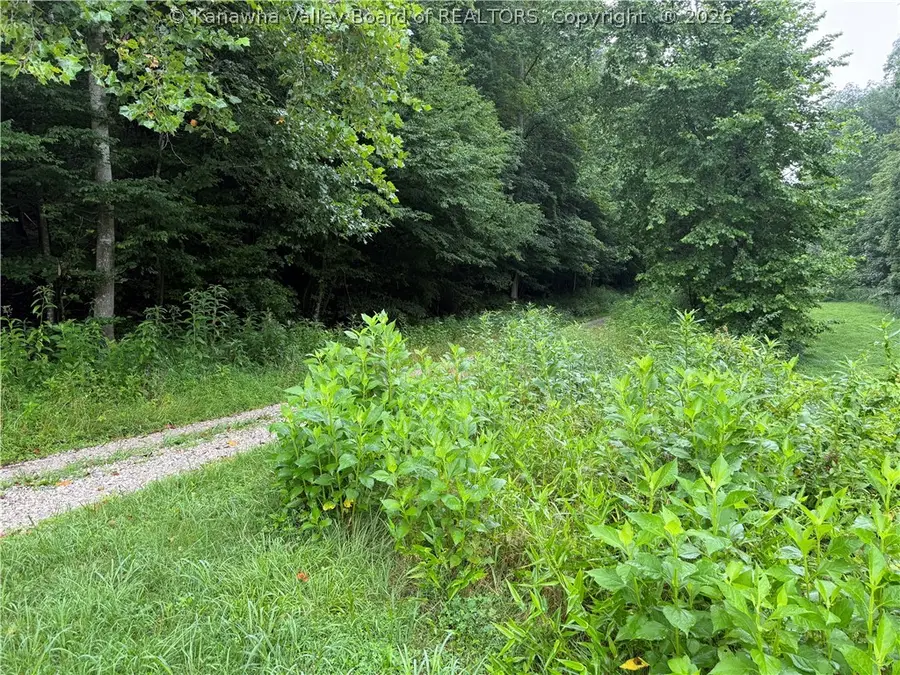 TBD Upper Mud River Road, Branchland, WV 25506 - #2