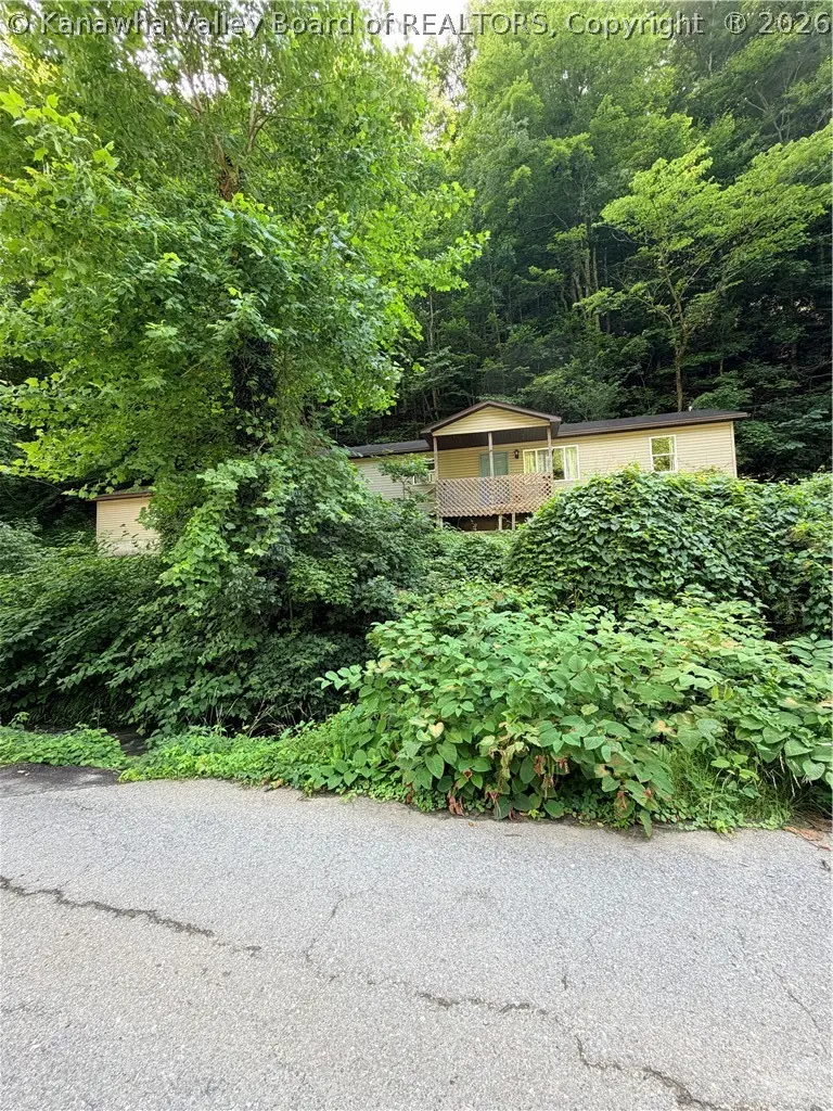 277 Dupont Road, Verdunville, WV 25649 - #2
