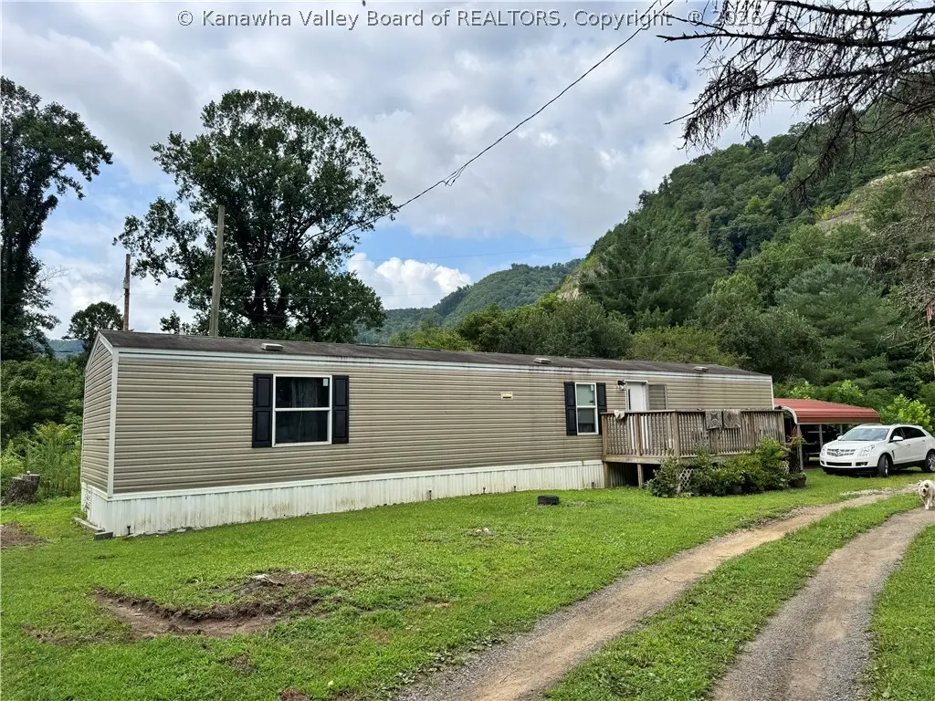 81 Apricot Alley, Lyburn, WV 25632 - #1