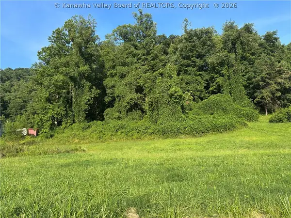 32 Wintergreen Lane, Chapmanville, WV 25508