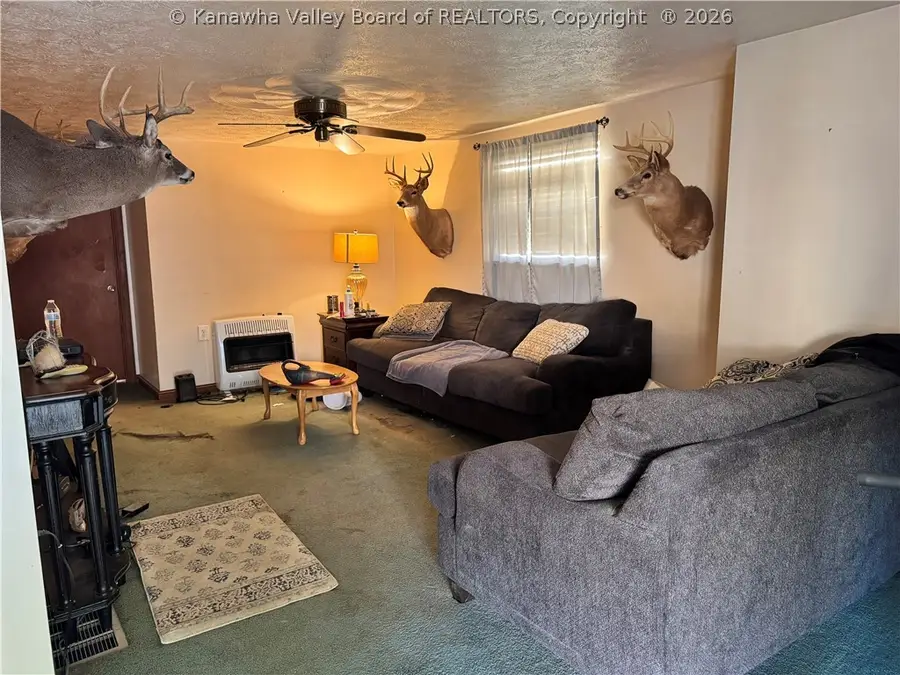316 Nancy Avenue, Belle, WV 25015 - #3