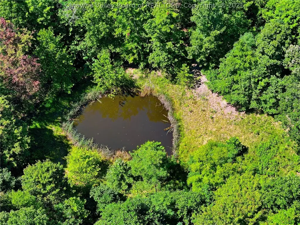 2882 Falling Rock Road, Clendenin, WV 25045 - #1
