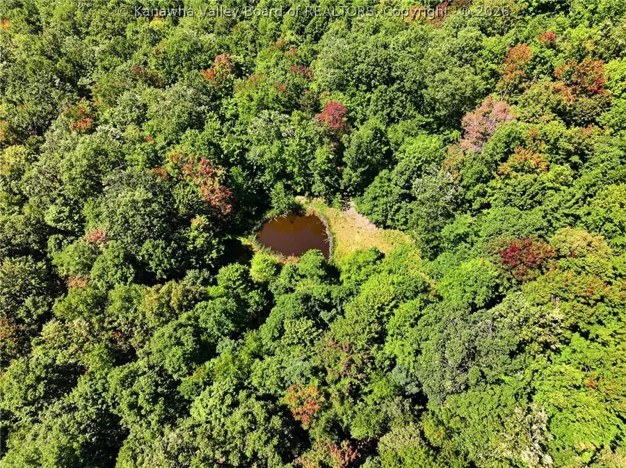 2882 Falling Rock Road, Clendenin, WV 25045 - #2