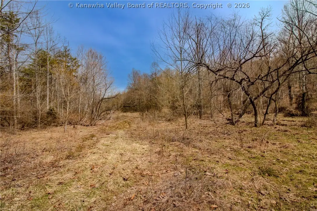 0 Evansview Road, Evans, WV 25241 - #1