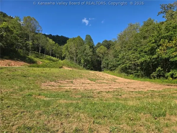 4694 Parkersburg Road, Reedy, WV 25270