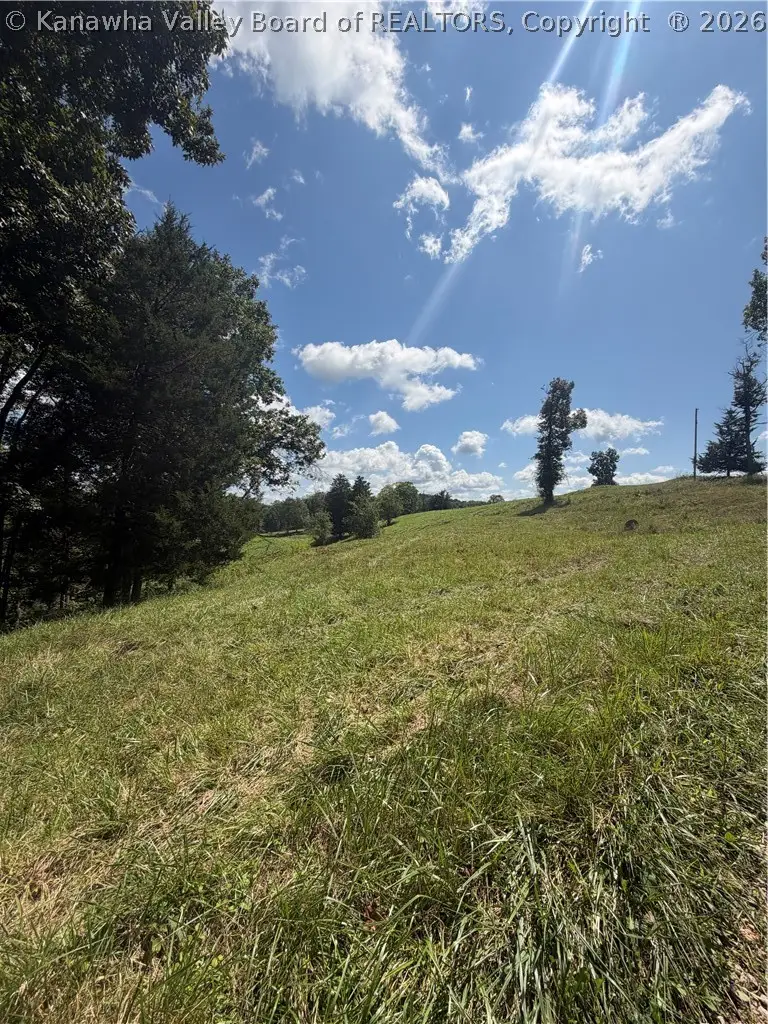 17407 Derricks Creek Road, Sissonville, WV 25320 - #3