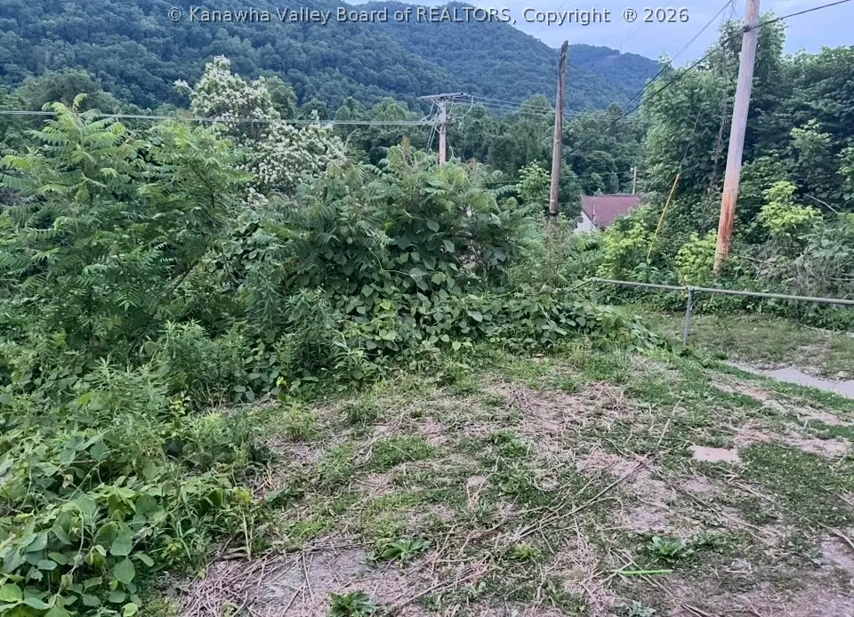 520 Church Hill Drive, Charleston, WV 25314 - #1