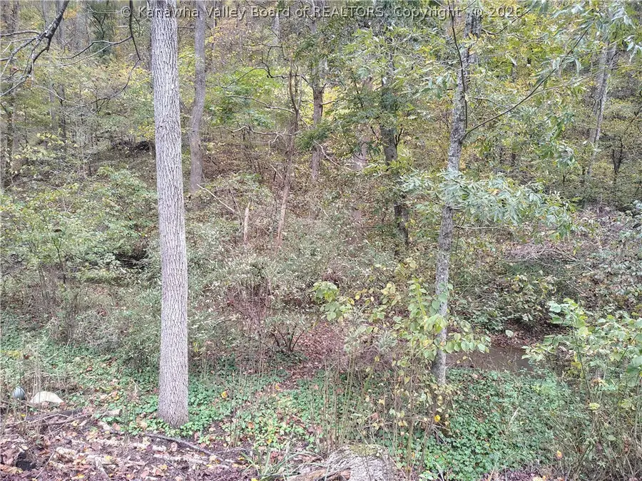 0 Patterson Drive, Elkview, WV 25071 - #2
