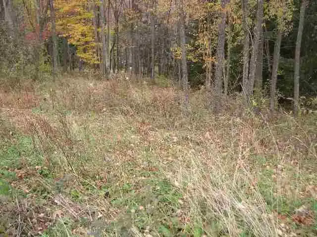 Lot 3 Elm Crest Court, Morgantown, WV 26508 - Image #2