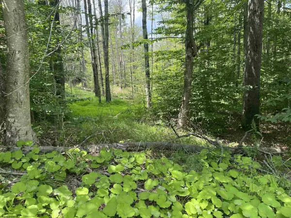 Lot 60 Slopeside Road, Davis, WV 26260