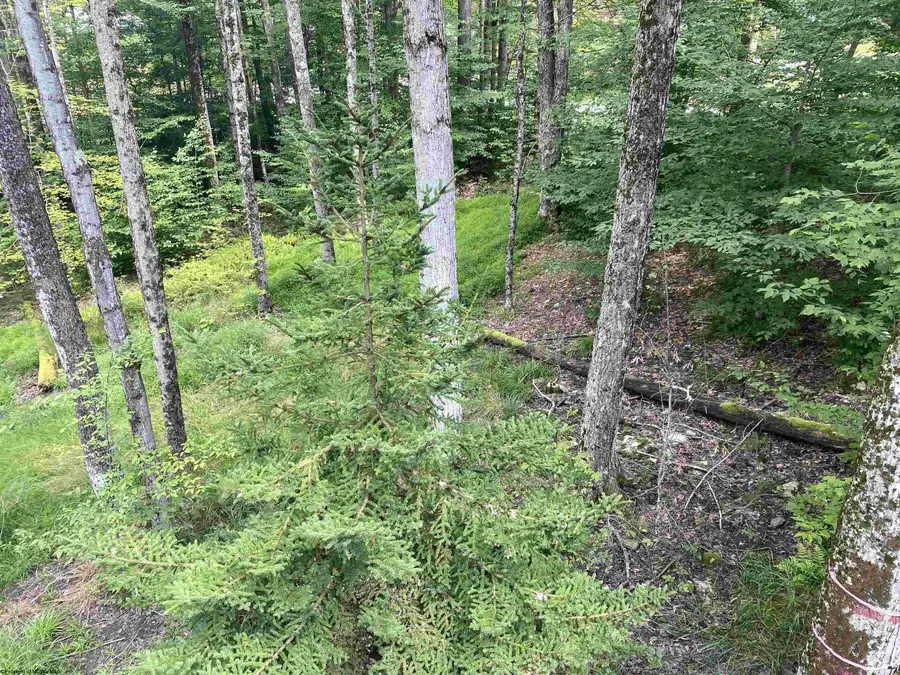 Lot 60 Slopeside Road, Davis, WV 26260 - Image #2
