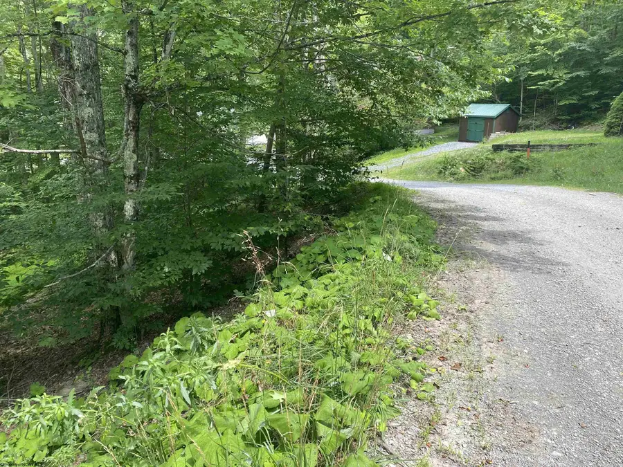 Lot 60 Slopeside Road, Davis, WV 26260 - Image #3