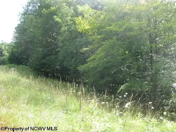 Lot 2 Northlake Development Drive, Davis, WV 26260
