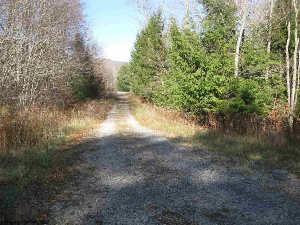 lot 49 Mountain View Road Drive, Davis, WV 26260 - Image #1